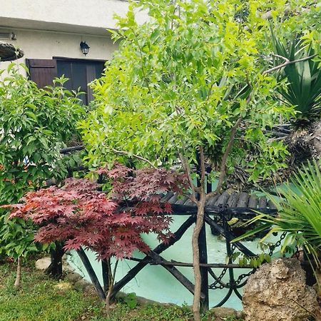Casa del mare ex Exohiki Katoikia Villa Paralía Eksteriør billede